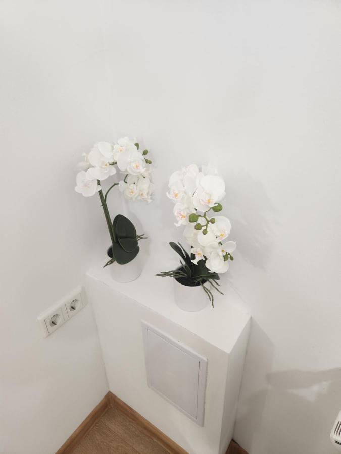 Apartman Zagreb Cca 42M2 With Free Parking Luaran gambar